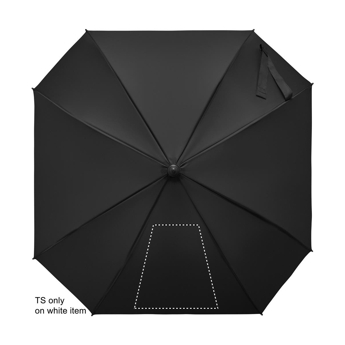 Segment 1 (260 x 260 mm)