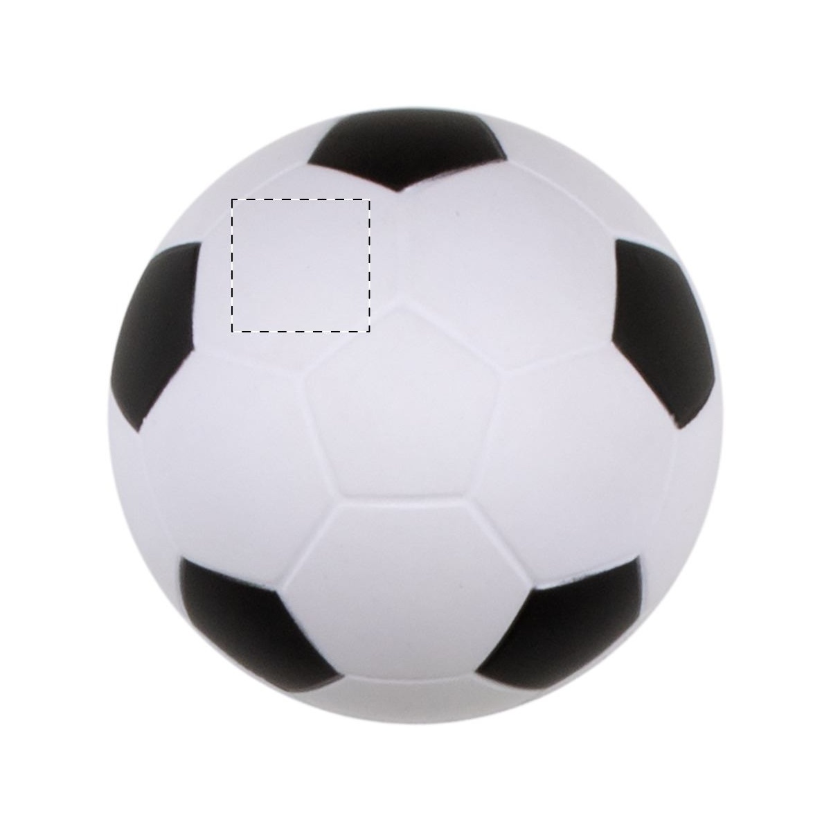 Segment 2 (10 x 10 mm)