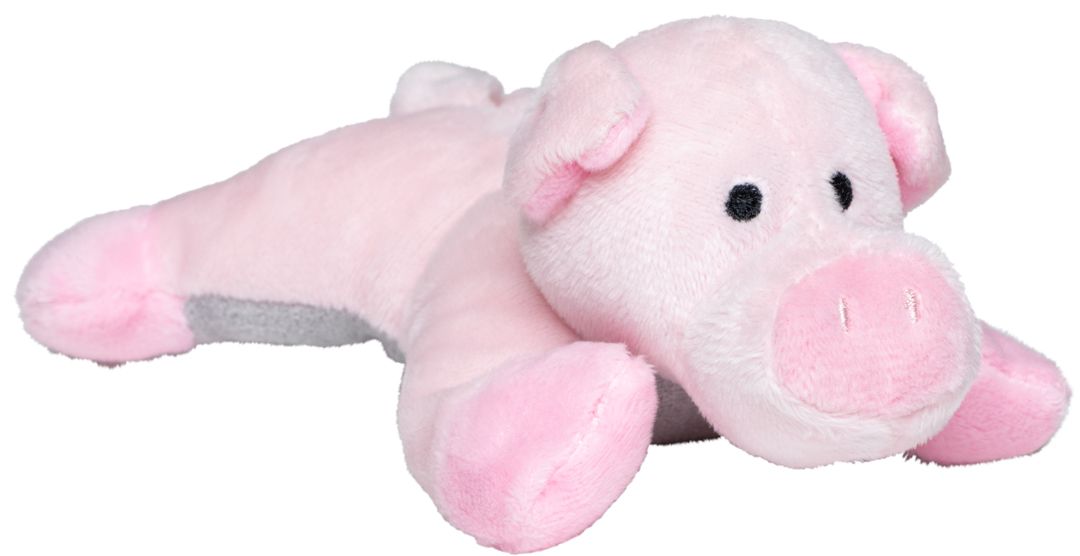 Werbefahne Vorderseite (5 x 1,2 cm)