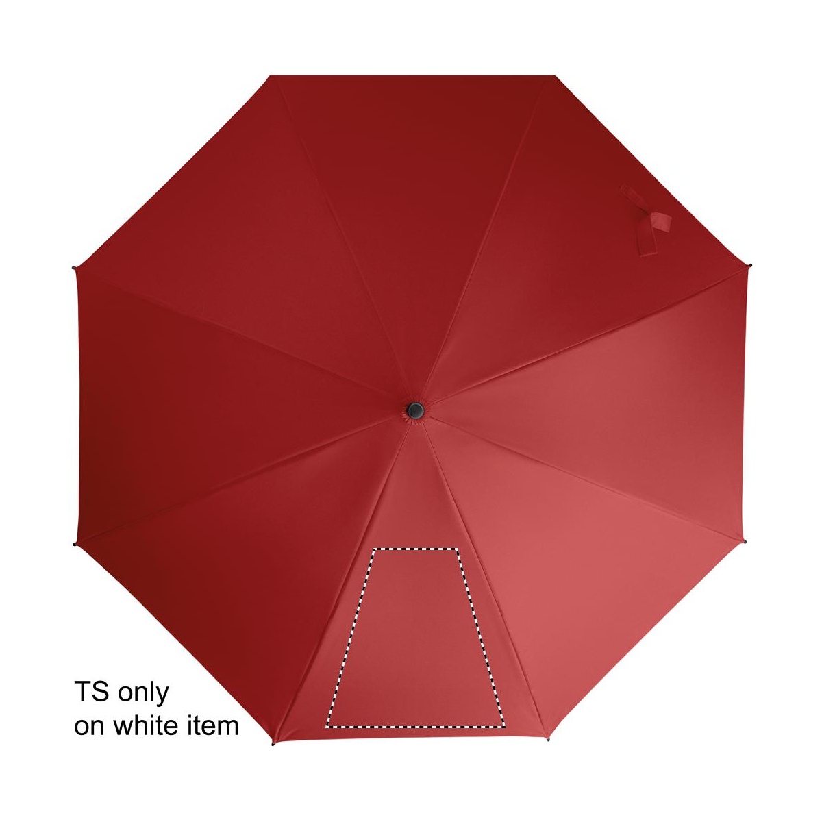 Segment 1 (260 x 260 mm)