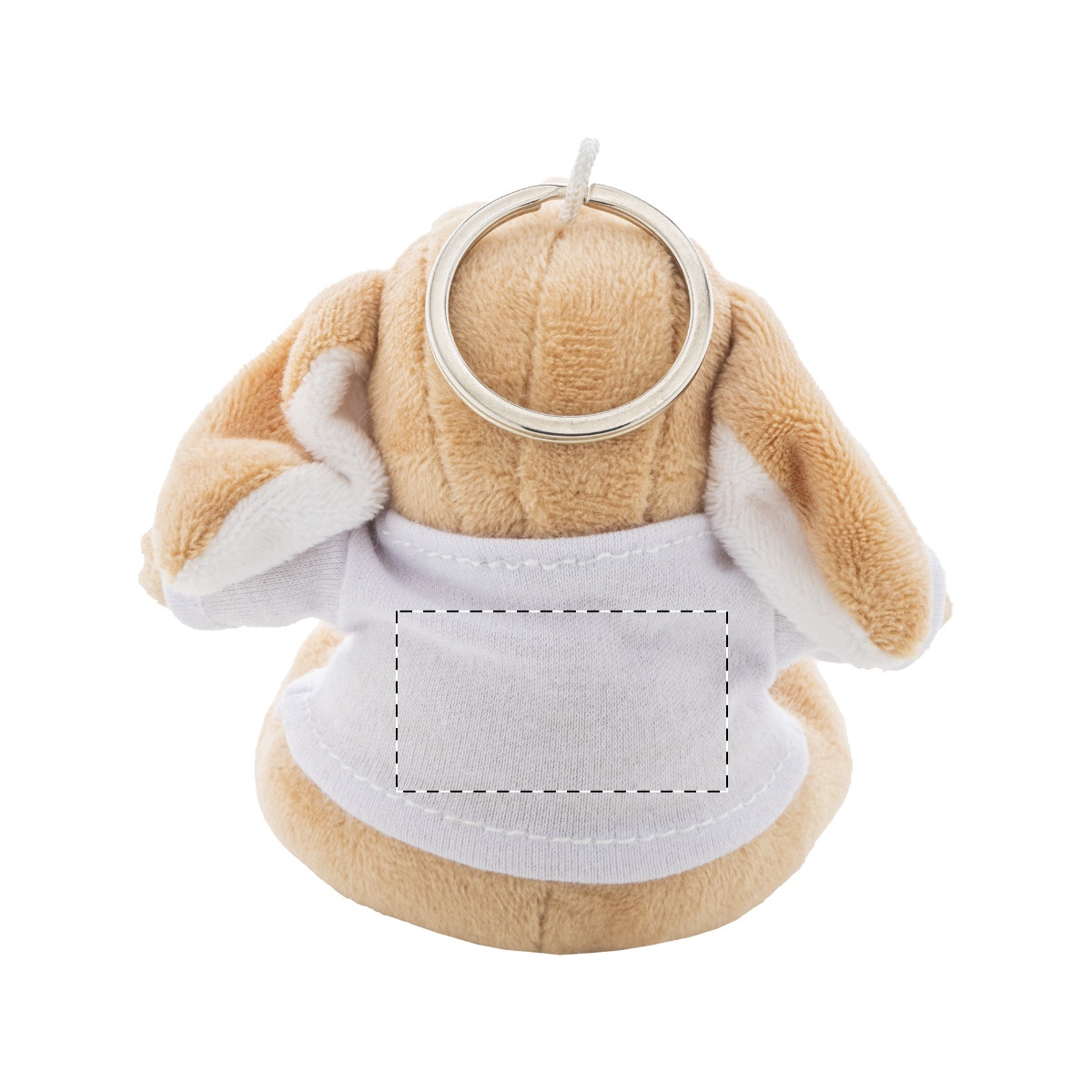 Rückseite (30 x 20 mm)