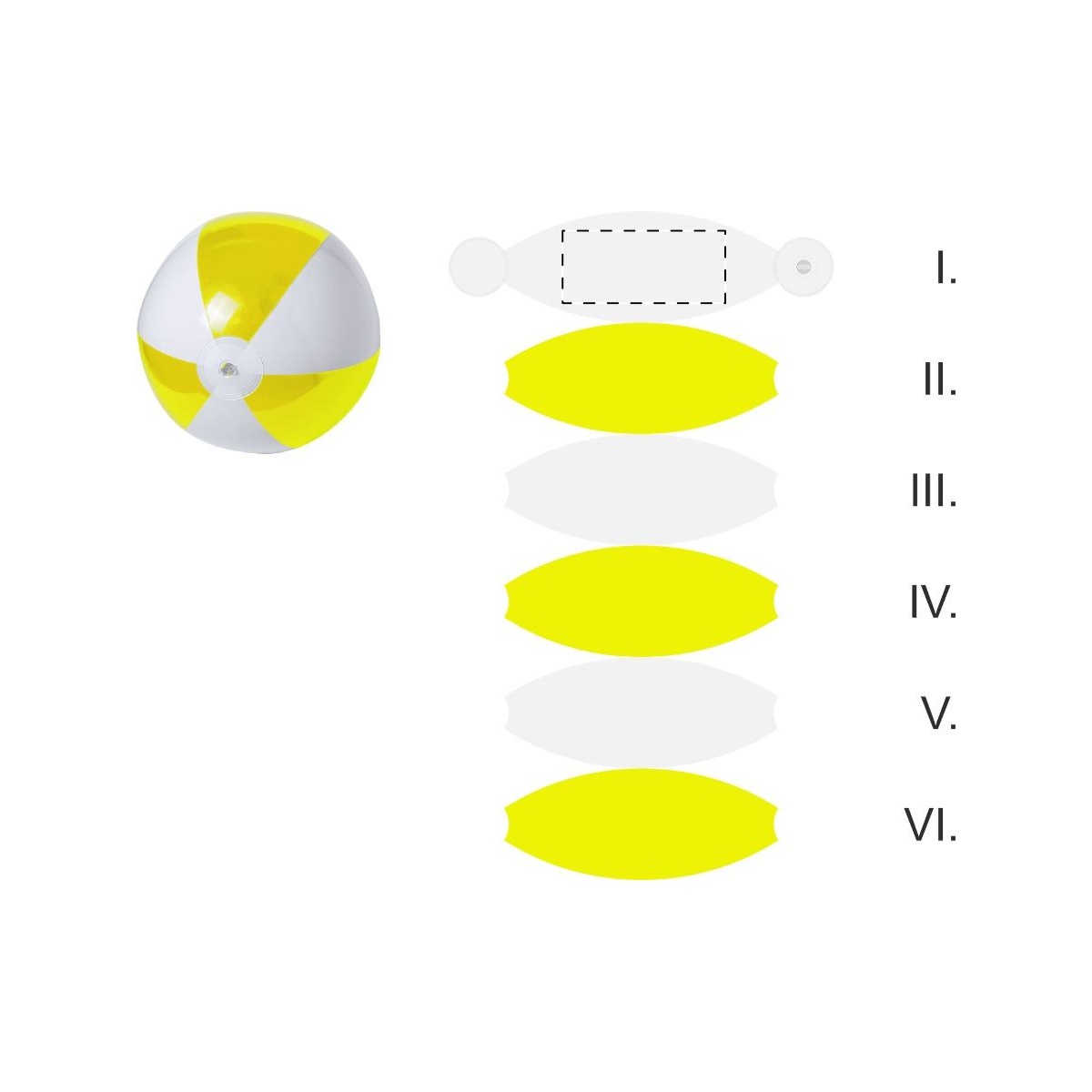 Segment 1 (12 x 5 cm)