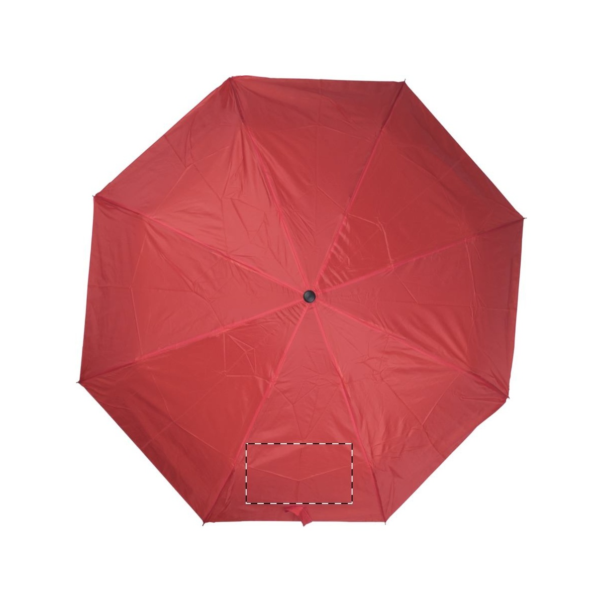 Segment 1 - mit Verschlussband (Segmentnumerierung im Uhrzeigersinn) (20 x 10 cm)