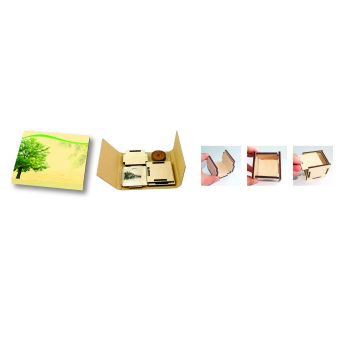 Pflanzsteckbox Natur