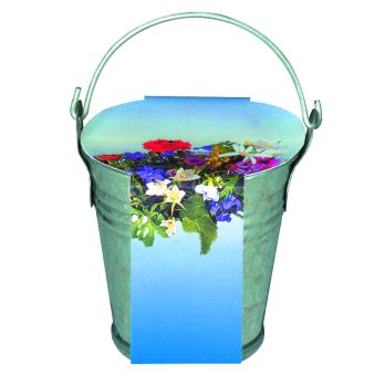 Zinkeimerchen Bunte Blumenmischung