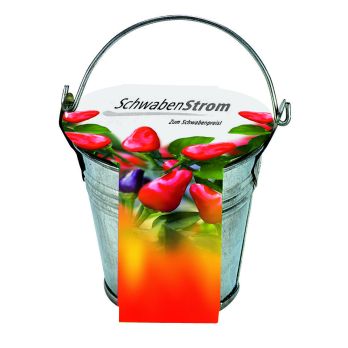 Zinkeimerchen Chili