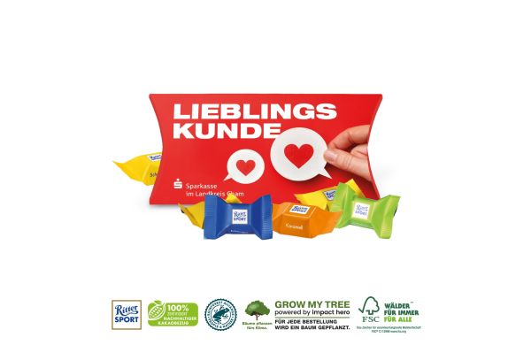 3D Praesent Transporter Mit Lindt Minis Und Nikolaus