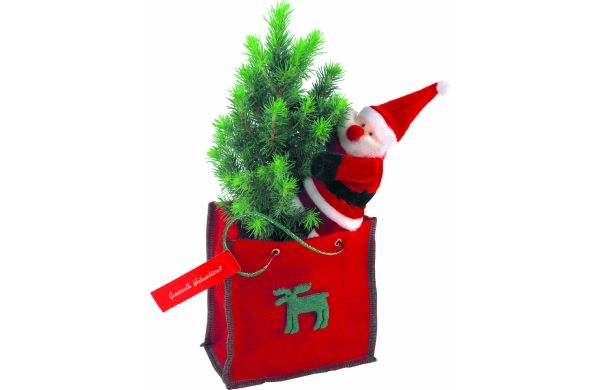 Bäumchen im Filztäschchen 20-30 cm 