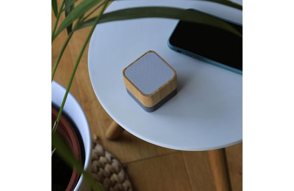BambooSpeaker