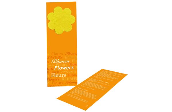 Blumige Lesezeit, bunte Blumenmischung