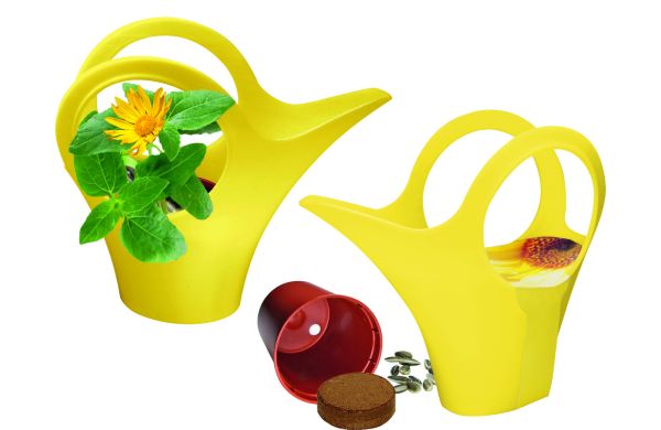 Camilla XS Sonne, Zwergsonnenblume