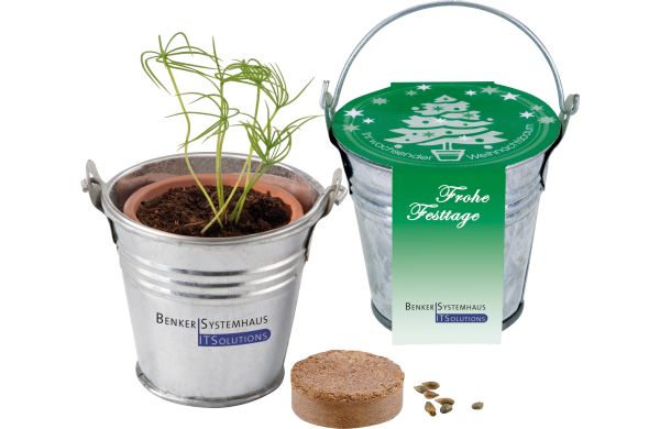 Eimerchen Frohe Festtage, Fichte