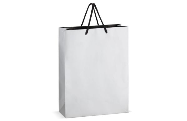 FSC Papier Geschenktasche 30 x 12 x 40cm 200g/m², silber