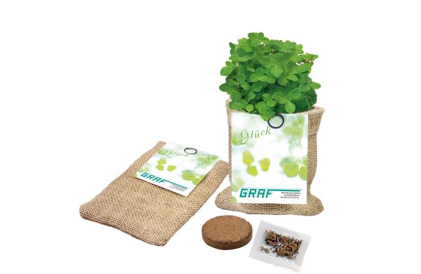 Glücks-Säckchen, Perserklee