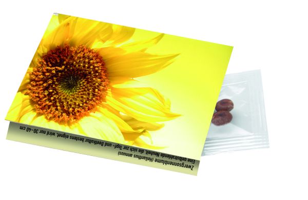 Klappkärtchen Sonne, 90 x 60 mm, Zwergsonnenblume