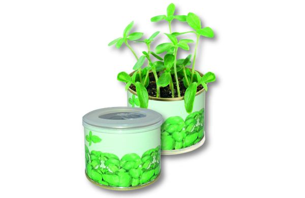 Kräuter-Dose, Durchmesser  73 x 58 mm, Basilikum 