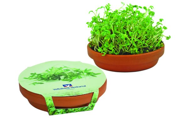 Kresse-Schale, Kresse