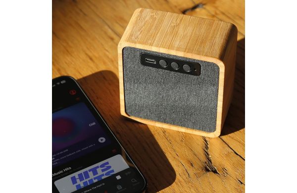 Lightshow Speaker Bamboo
