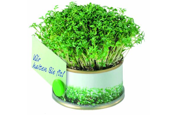 Minigarten Kräuter mit Magnet, Durchmesser  73 x 38 mm, Kresse