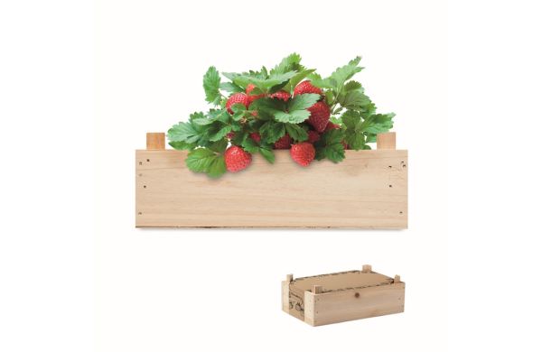 STRAWBERRY Saat-Set Erdbeere - holzfarben