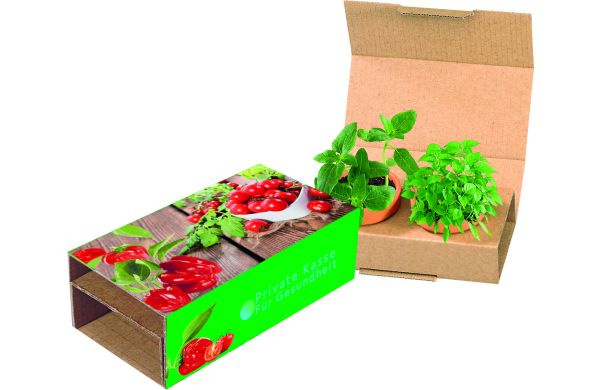 Naschgemüse Duo, Cocktail Tomate und Paprika