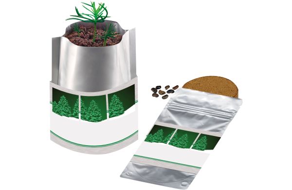 Plant-Bag Baum, Fichte 