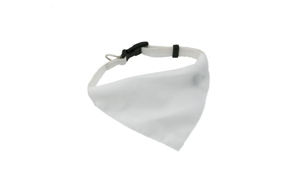 Rex Hundehalsband, weiss