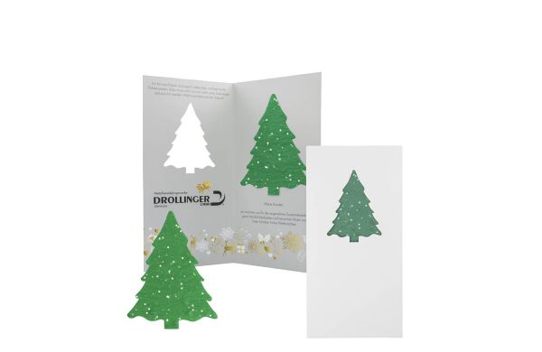 Samenpapier-Karte Fichte 4/4-c