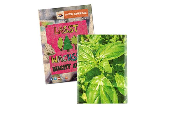 Samentütchen Klein, Graspapier