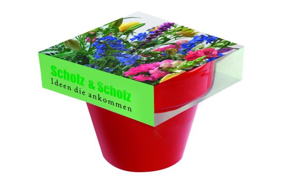 Tontopf Colour Bunte Blumenwelt, bunte Blumenmischung