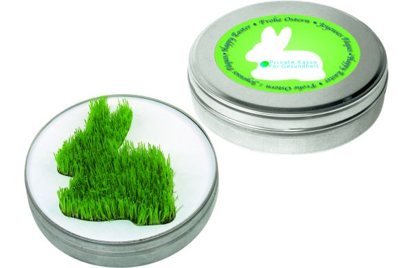 Wachsender Hase aus der Dose, Zimmerrasen