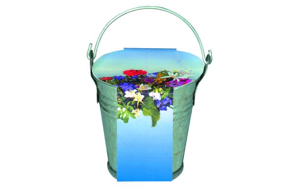 Zinkeimerchen Bunte Blumenmischung, bunte Blumenmischung 