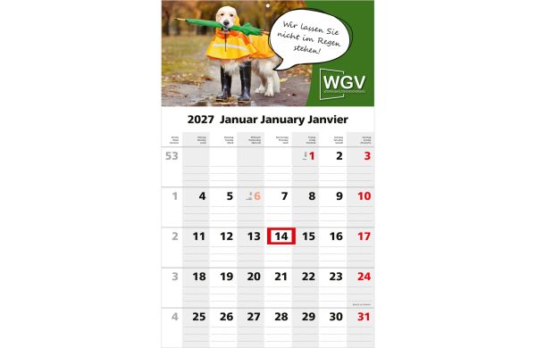 1-Monatskalender Einblatt Solo 1 EXPRESS