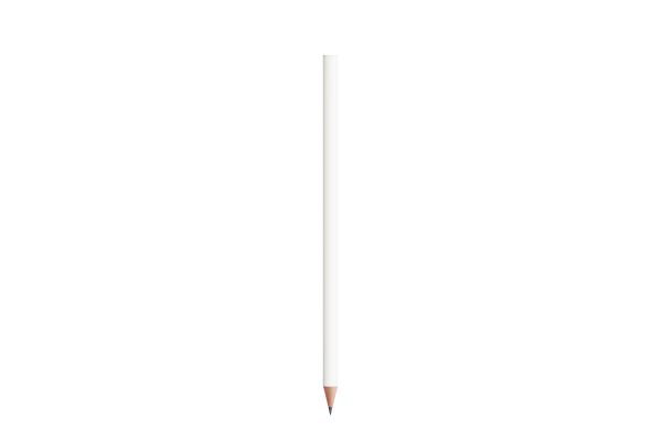 BIC® Evolution® Magnificent Cut end pencil