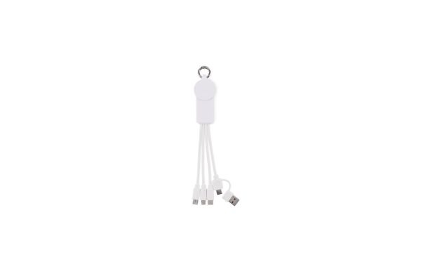 ICAB 2in1 Ladekabel Typ-C, weiß