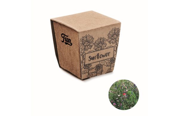 SUNFLOWER KIT Pflanz-Set Sonnenblume, beige