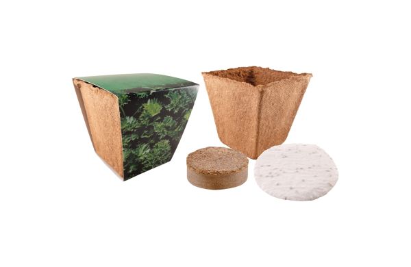 Kräuter Starter Kit