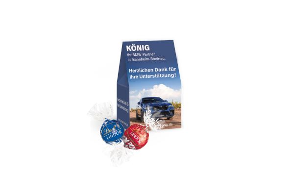 Lindt Lindor Pralines 2er Klimaneutral FSC