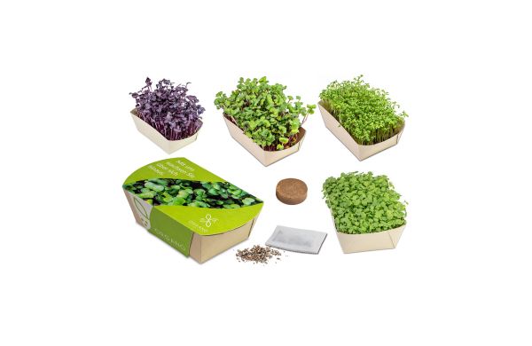 Microgreens-Gärtchen