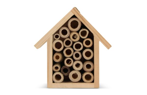 Mini-Bienenhaus FSC, holz