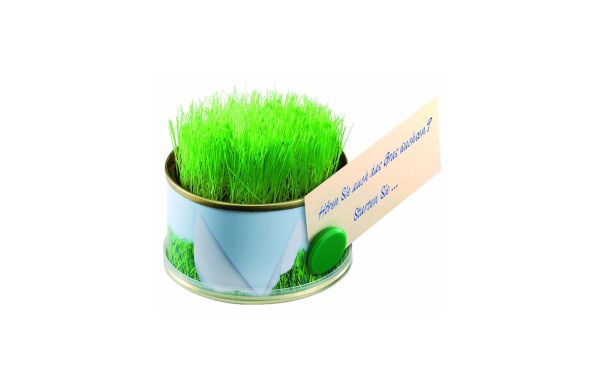 Minigarten Gras mit Magnet, Durchmesser  73 x 38 mm, Zimmerrasen