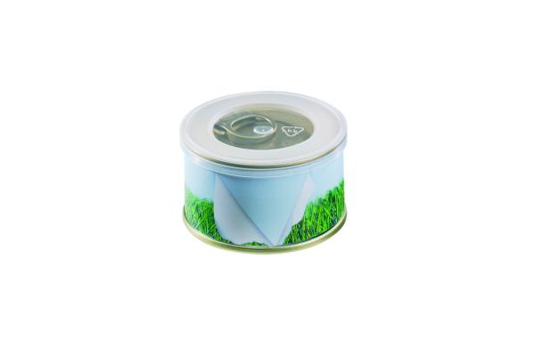 Minigarten Gras ohne Magnet, Durchmesser  73 x 38 mm