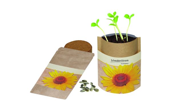 Natur-Bag Sonne, Zwergsonnenblume
