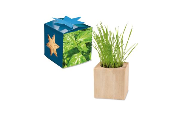 Pflanz-Holz Maxi Star-Box mit Samen, 1 Seite gelasert
