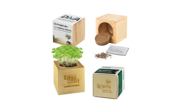 Pflanz-Holz Maxi mit Samen