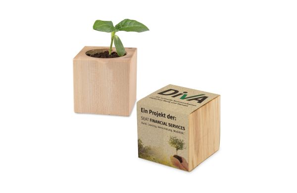 Pflanz-Holz mit Samen 2 Seiten gelastert (Graspapier-Banderole)