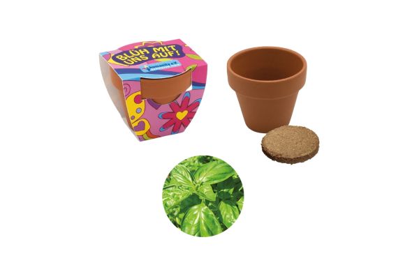 Terracotta Pflanztöpfchen