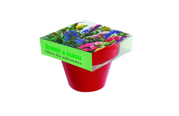Tontopf Colour Bunte Blumenwelt, bunte Blumenmischung