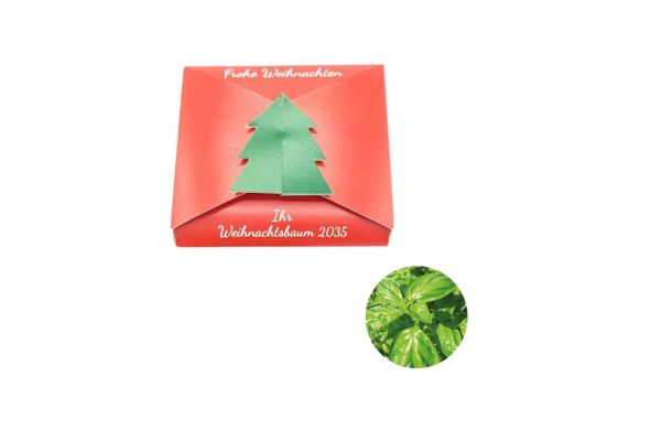 Verschluss - Samenkarte Tannenbaum