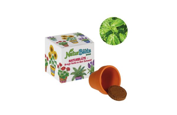 Werbepower-Samenwürfel
